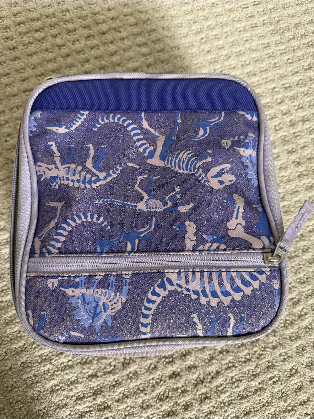 Pottery Barn Kids Glow in Dark Purple Dinosaur Skeleton Classic Lunch Bag